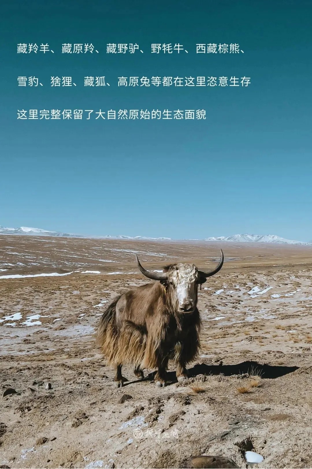 11月活动｜走，我们去无人区野餐去❗_10_食野山桌_来自小红书网页版